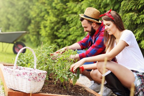 Local hedge maintenance near Barbican residential properties