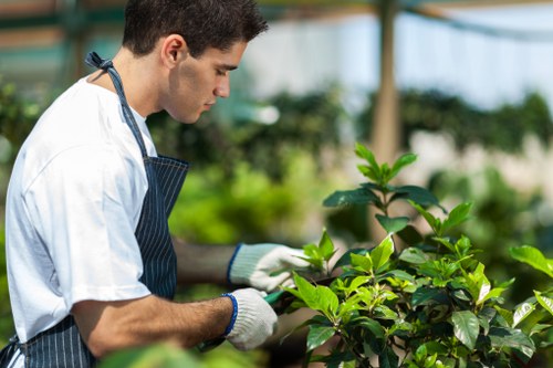Urban arboricultural recycling and waste separation in London