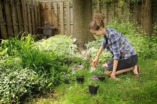 Local tree removal service area around Barbican and nearby districts