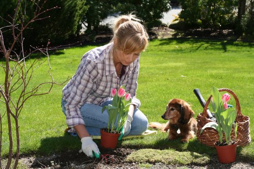 Supervisor assessing a complaint case after tree work
